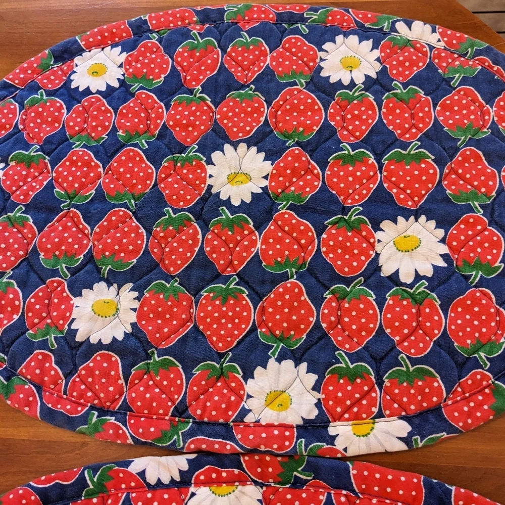 Vtg Placemats Strawberries Daisies Oval Quilted Kitchen Dining Corragecore Charm